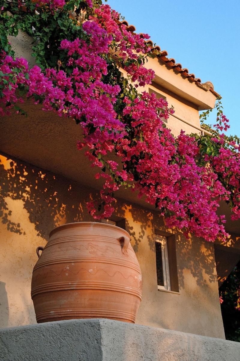 Paradise Island Villas Hersonissos  Luaran gambar